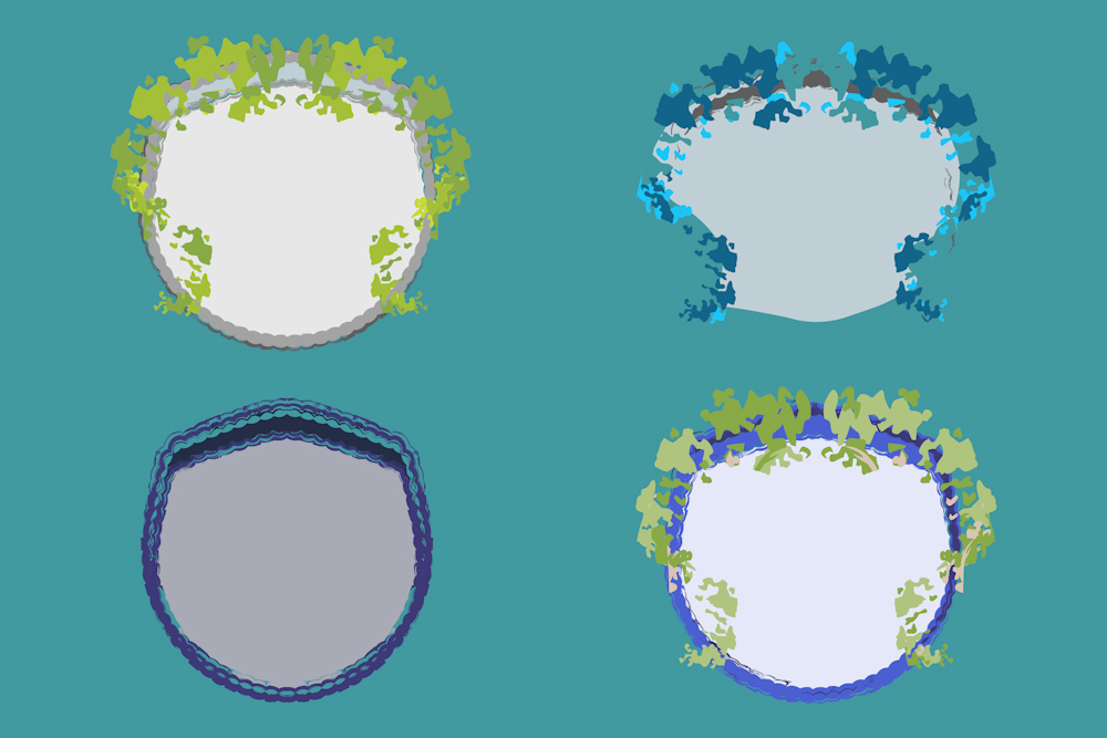 Organic Shield Vectors for Content
